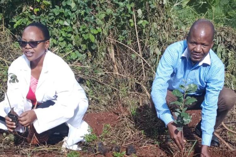 Ms. Esther Wambua and  Mr. Chrispine Odhiambo planting trees