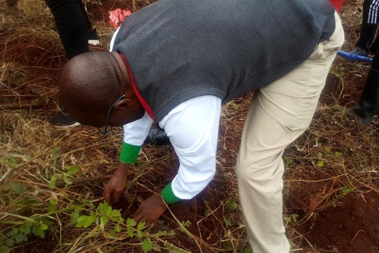 Mr. Evans Nyandumo planting a tree seedling