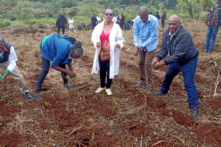  Ms. Racheal Kiiru, Mr. Felix Warutumo ,Ms. Esther Wambua, Mr. Evans Nyandumo and Mr.Chrispine Odhiambo. planting trees