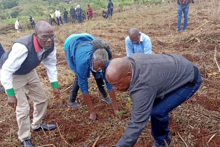  Ms. Racheal Kiiru, Mr. Felix Warutumo, Mr. Evans Nyandumo and Mr.Chrispine Odhiambo. planting trees