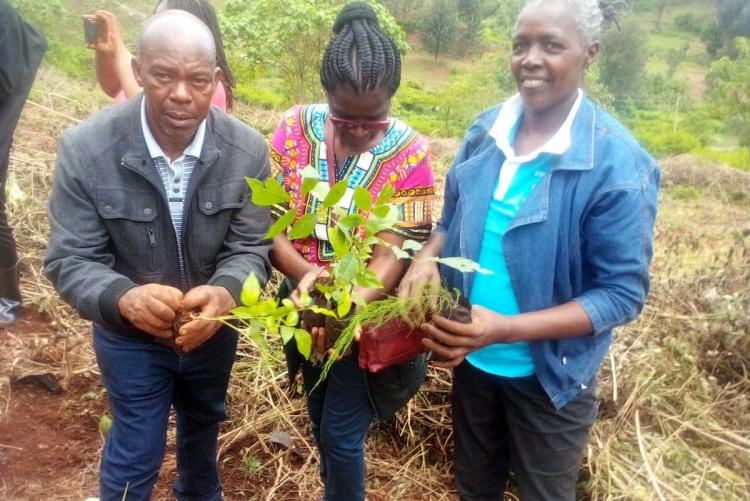 Ms. Ann Muriungi, Mr. Felix Warutumo and Ms. Racheal Kiiru planting trees