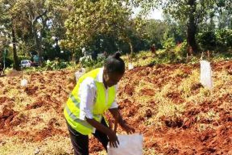 Ann putting protective cover around the tree
