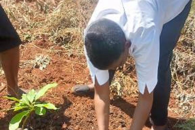 Ann putting soil forplant the tree