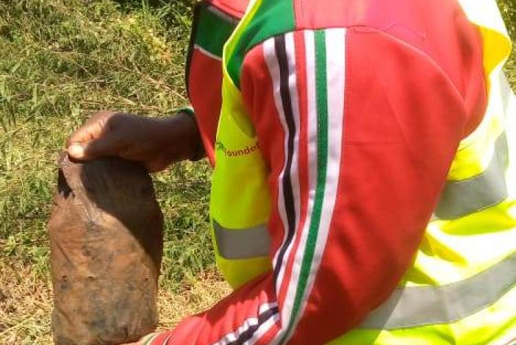 Ann putting soil forplant the tree