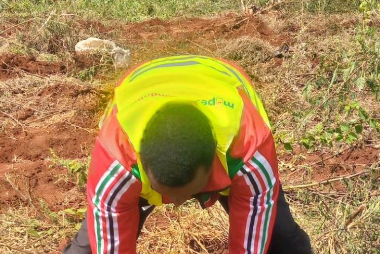 Mr. george planting a tree