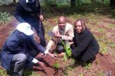 Tree planting at Kabete