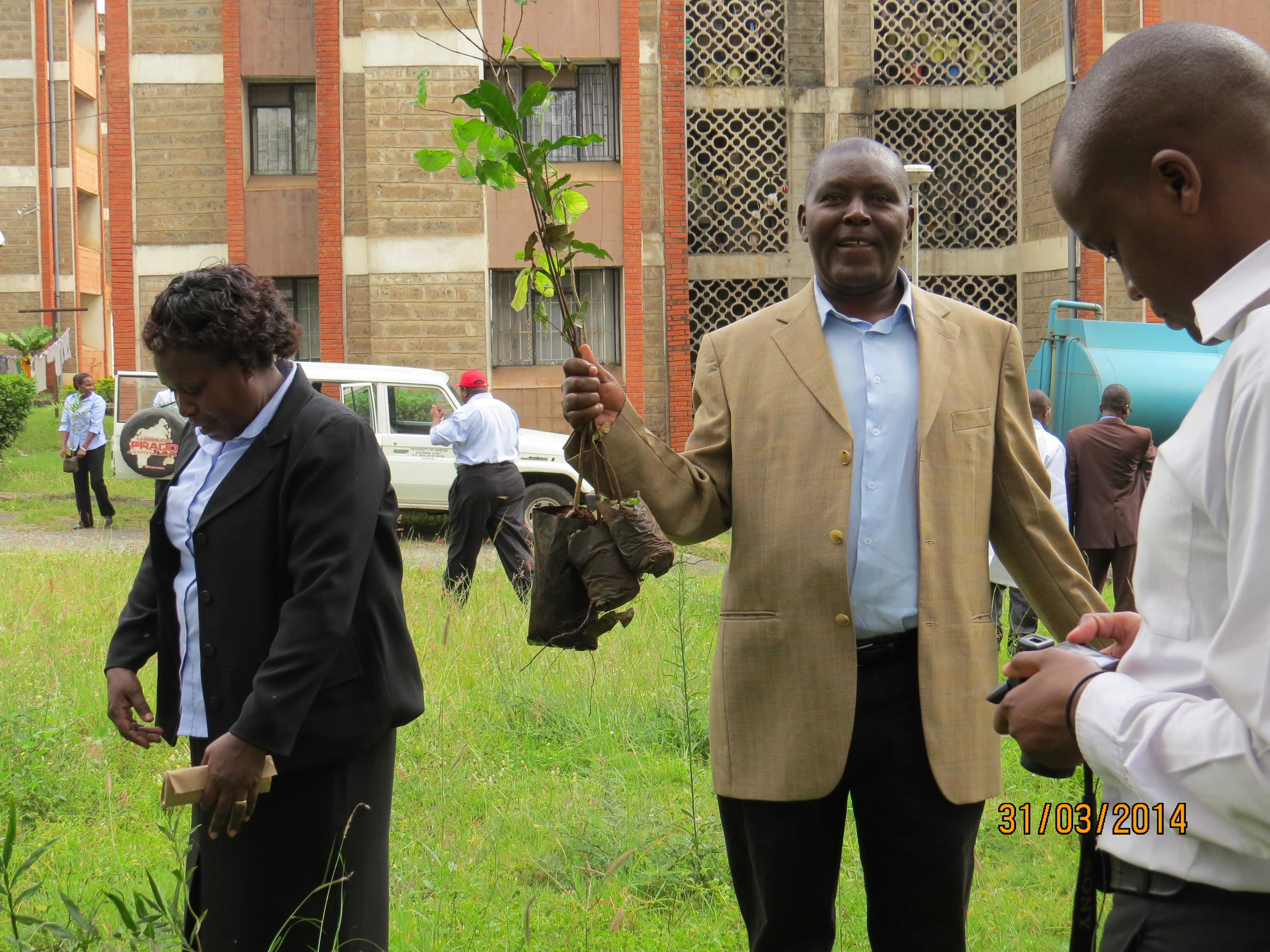 The Internal Audit Department participates in a tree planting ceremony