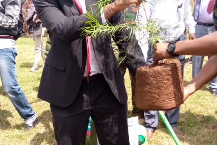 Prof. Kiama carrying a tree seedling to plant