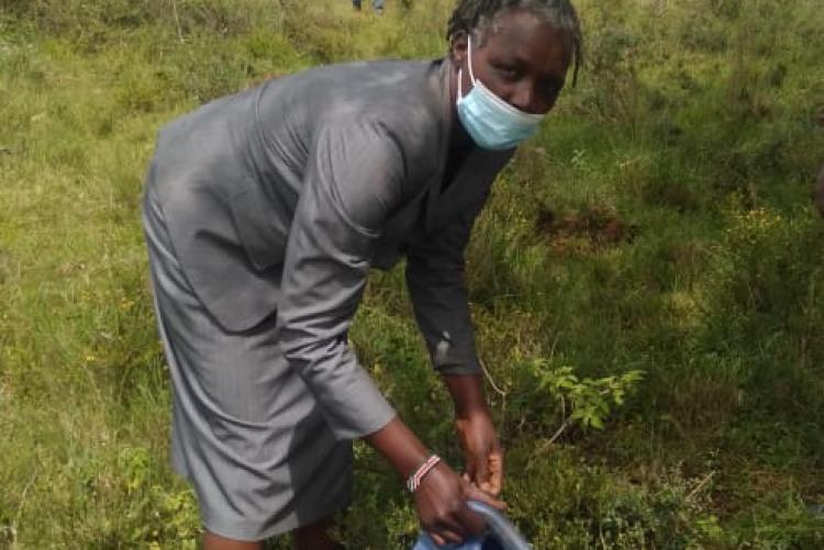 Rachel Nduta Internal Audit staff planting a tree