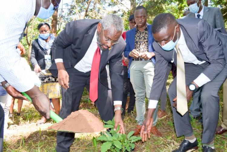 The VC plants a tree to commemorate the World Day of Remembrance for Road Crash Victims.  