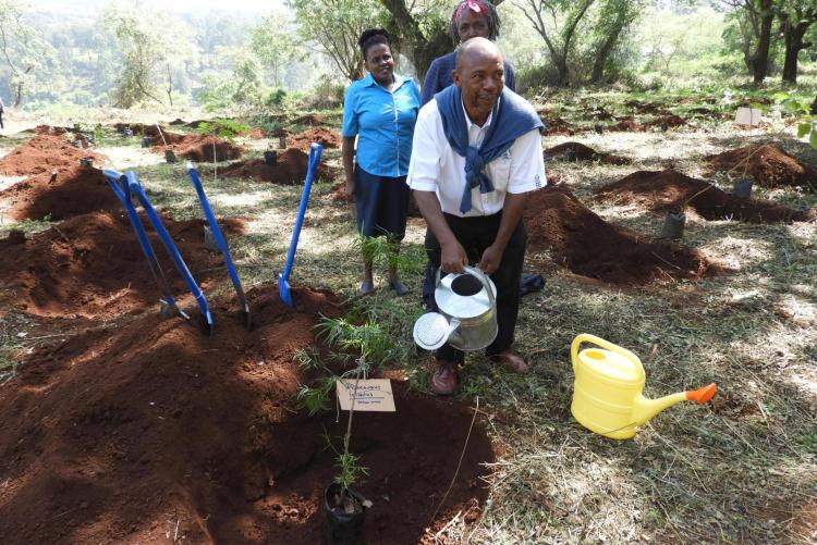 Mr Warutumo watering the tree