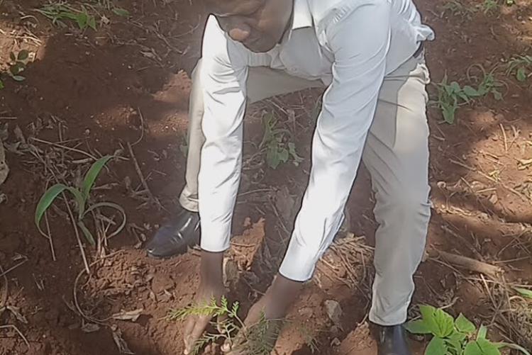Mr. Kapiyo participating in the tree planting exercise