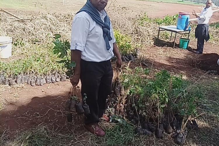 Mr. Warutumo holding the seedlings he plans to plant