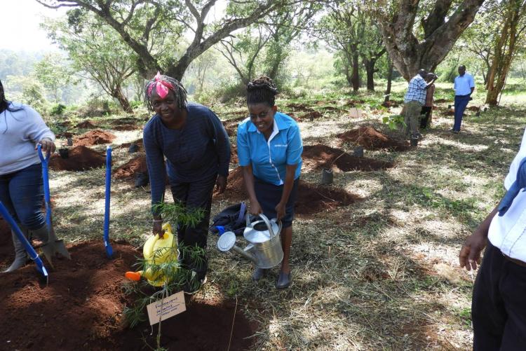 Ms Anne and Ms Nduta watering the plant