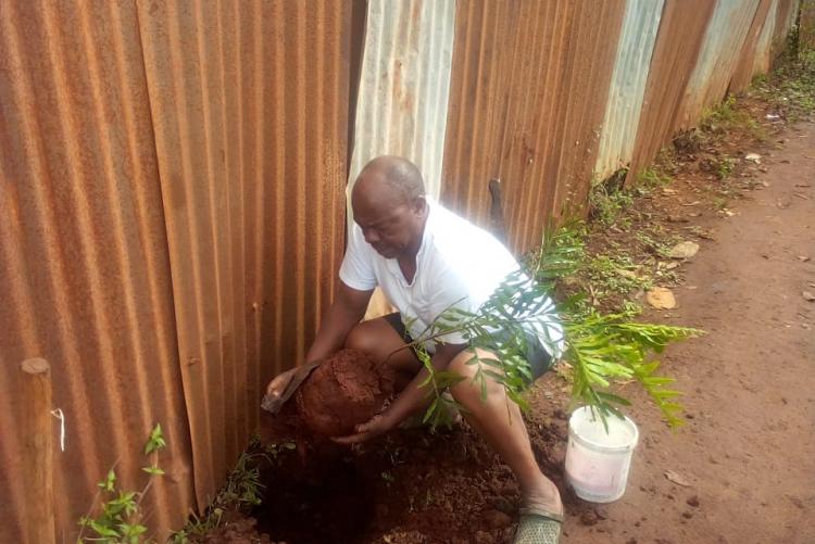 Warutumo planting a tree