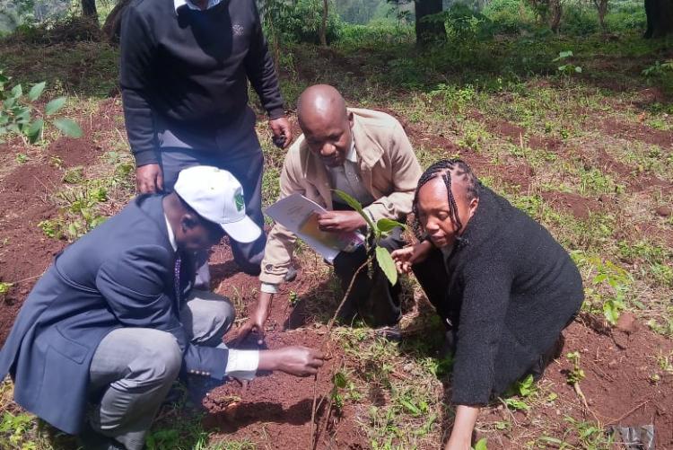 Felix at Tree planting at Kabete