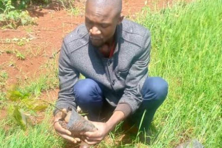 Mr otanchi planting a tree