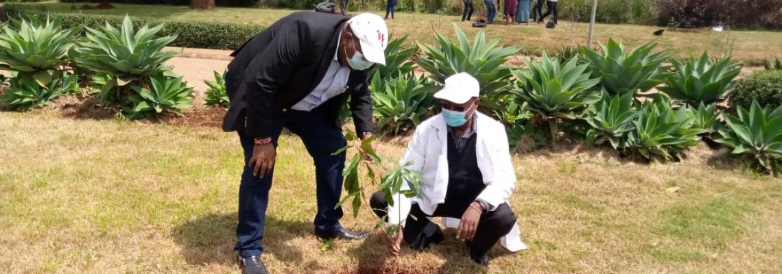 TREE PLANTING EXERCISE AT WANGARI MAATHAI INSTITUTE