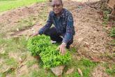 Director Mr. Gitau planting a tree